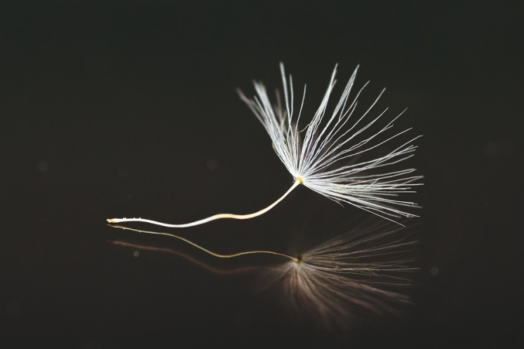 “云南康旅”1900億負債沉重，擬提前兌付全部債券推進重組